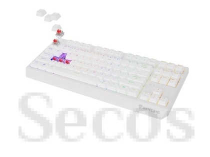 Клавиатура Genesis Gaming Keyboard Thor 230 TKL Wireless US White RGB Mechanical Outemu Red