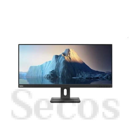 Монитор Lenovo ThinkVision E29w-20 29", IPS, WLED, 2560x1080, AG, 4ms, 90Hz, 300 cd/m2, 1000:1, Speakers 3Wx2, Tilt, Swivel, Height Adjust Stand, HDMI, DP