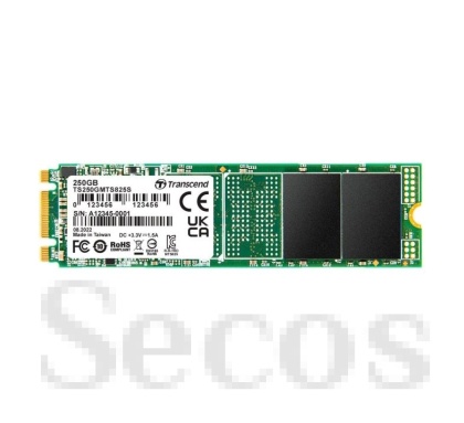 Твърд диск Transcend 250GB, M.2 2280 SSD, SATA3 B+M Key, TLC